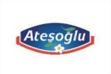 ateşoğlu
