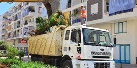 BELEDİYEDEN AĞAÇLARA İTİNALI NAKİL