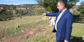 MANAVGAT’TA TARIM ÜRÜNLERİ DOLUDAN ZARAR GÖRDÜ