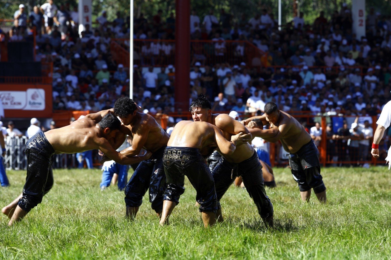 WhatsApp Image 2024-07-08 at 16.00.04 (2)