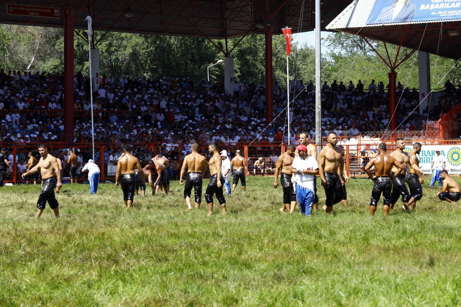 WhatsApp Image 2024-07-08 at 16.00.02