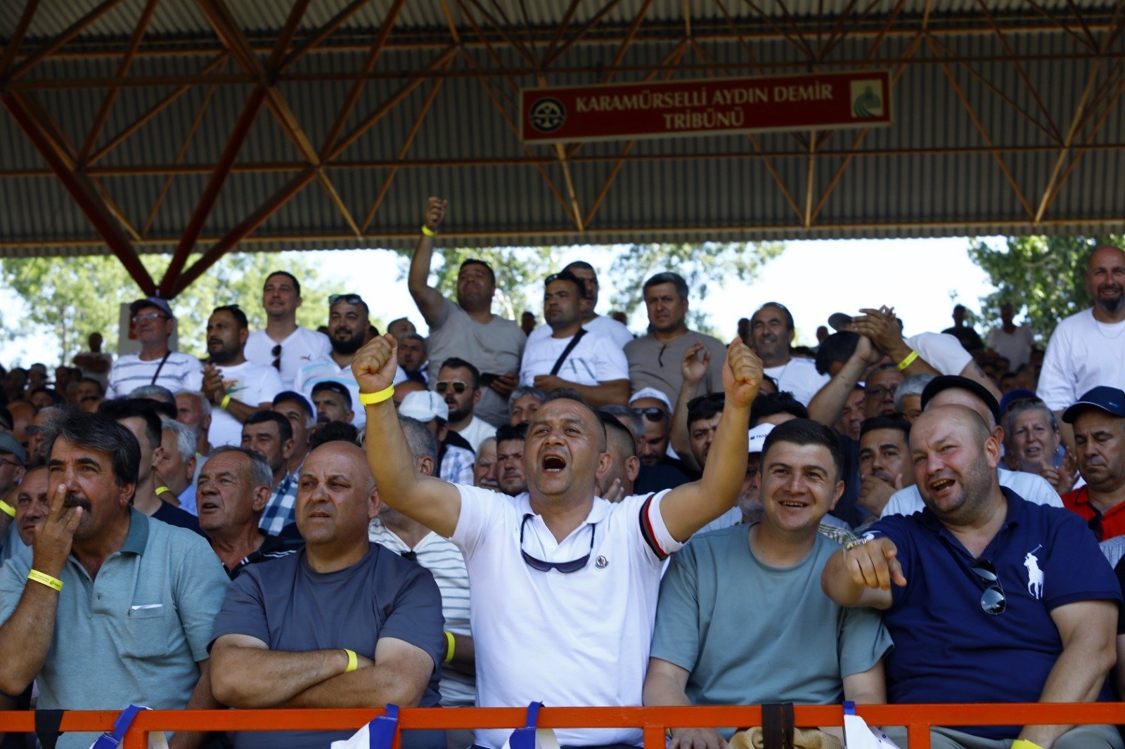 WhatsApp Image 2024-07-08 at 16.00.04