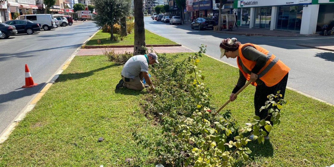 PARK VE BAHÇELER MÜDÜRLÜĞÜ ŞEHRİN YÜZÜNÜ DEĞİŞTİRİYOR