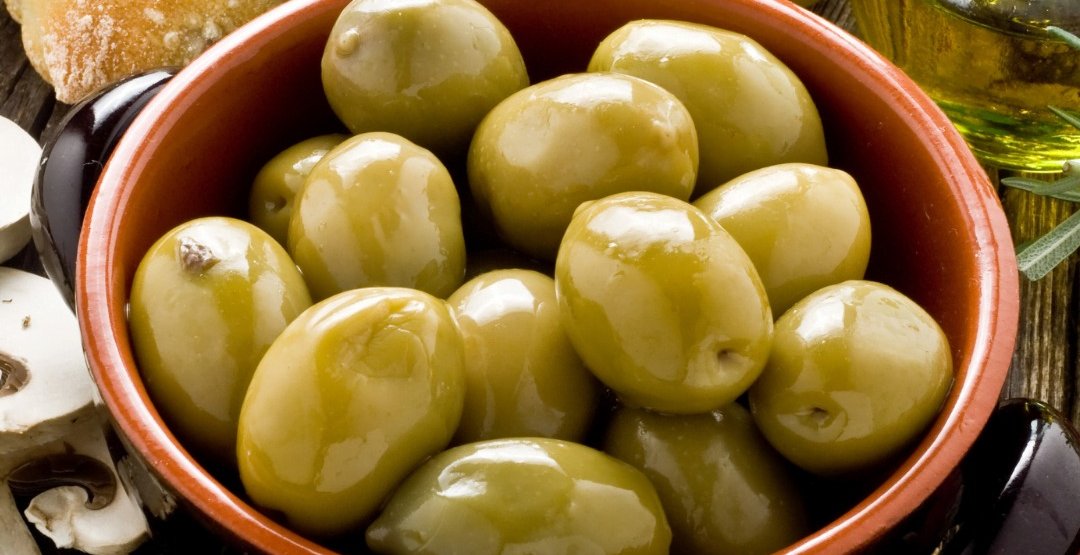 MANAVGAT’IN ZEYTİNLERİ GÖRÜCÜYE ÇIKIYOR