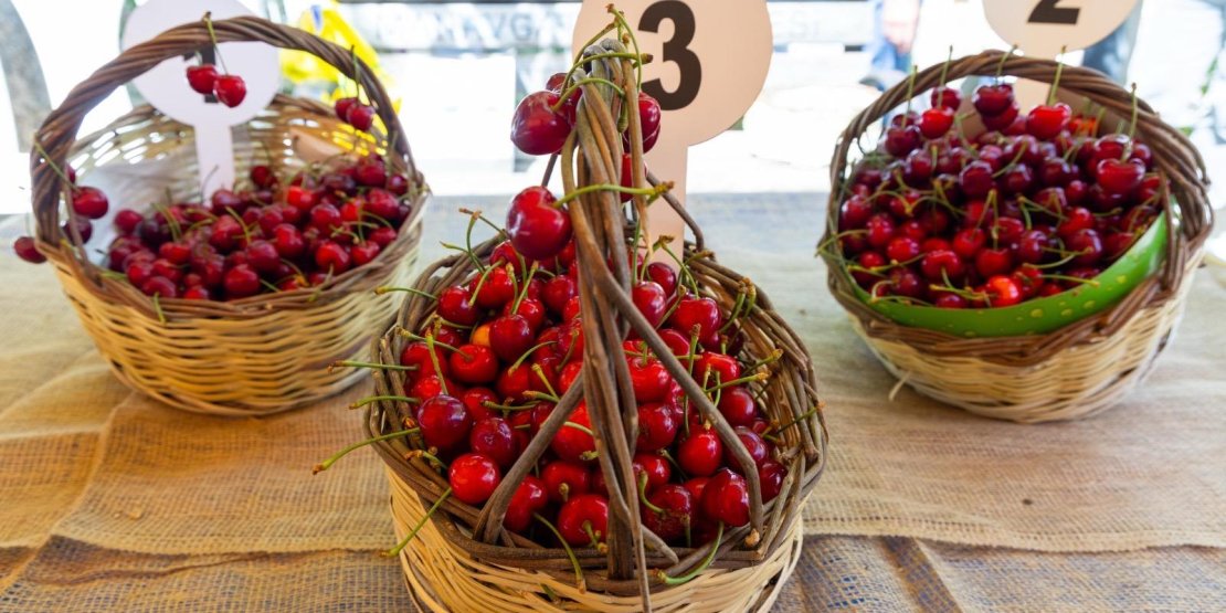 BURMAHAN’DA İLK KEZ KİRAZ FESTİVALİ DÜZENLENDİ