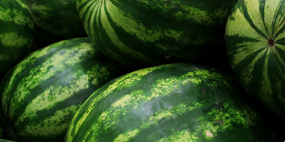 BELENOBASI’NDA KARPUZ ŞENLİĞİ HEYECANI YAŞANACAK