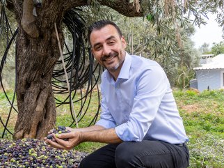 MANAVGAT’TA ZEYTİN VE ZEYTİNYAĞI FESTİVALİ’NİN İKİNCİSİ BAŞLIYOR