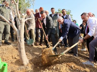 BAŞKAN VEKİLİ ÇİÇEK, 11 KASIM MİLLİ AĞAÇLANDIRMA GÜNÜ FİDAN DİKİMİNE KATILDI