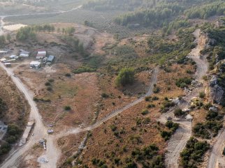 MANAVGAT’TA 75 DÖNÜMLÜK SOKAK HAYVANLARI DOĞAL YAŞAM ALANI