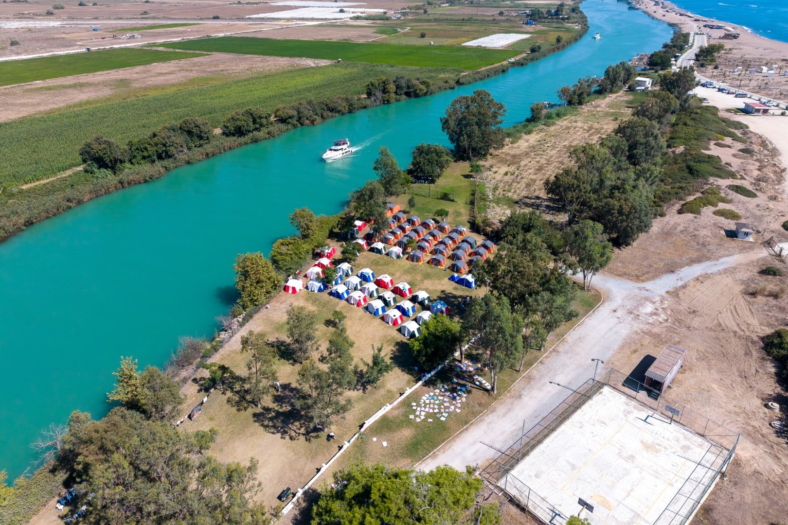 16
