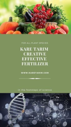 WhatsApp Image 2020-02-25 at 17.56.27