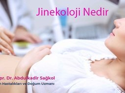 Jinekoloji Nelerdir?