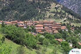 KAYATRANS l Bursa-Orhaneli Nakliyat l 444 3 972