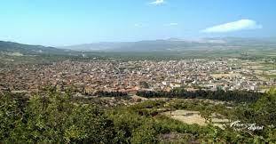 KAYATRANS l Manisa-Kırkağaç Nakliyat l 444 3 972