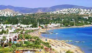 KAYATRANS l Muğla-Bodrum Bitez Nakliyat l 444 3 972