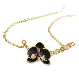 ROBERTO BRAVO DE ROSA ORHP0004