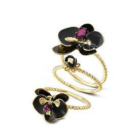 ROBERTO BRAVO DE ROSA ORHR0009