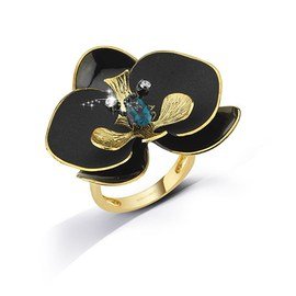 ROBERTO BRAVO DE ROSA ORHR0011