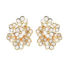 ROBERTO BRAVO DE ROSA WDHE0006