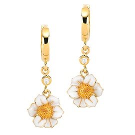 ROBERTO BRAVO DE ROSA WDHE0012