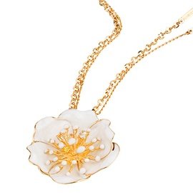 ROBERTO BRAVO DE ROSA WDHP0001