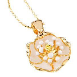 ROBERTO BRAVO DE ROSA WDHP0003