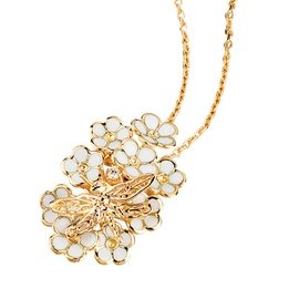 ROBERTO BRAVO DE ROSA WDHP0006