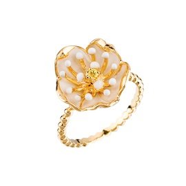 ROBERTO BRAVO DE ROSA WDHR0003