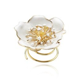 ROBERTO BRAVO DE ROSA WDXH0001