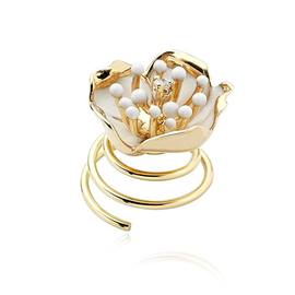 ROBERTO BRAVO DE ROSA WDXH0004