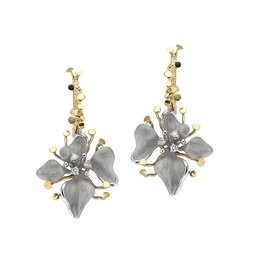 ROBERTO BRAVO DE ROSA KAFE0001