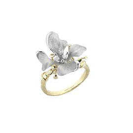 ROBERTO BRAVO DE ROSA KAFR0001