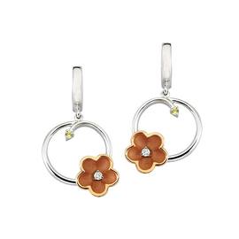 ROBERTO BRAVO DE ROSA KAHE0005