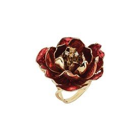 ROBERTO BRAVO DE ROSA GCXR0001