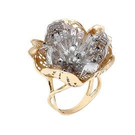 ROBERTO BRAVO DE ROSA GLHR0036