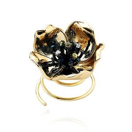 ROBERTO BRAVO DE ROSA GLXH0002