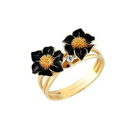 ROBERTO BRAVO DE ROSA BMHR0012