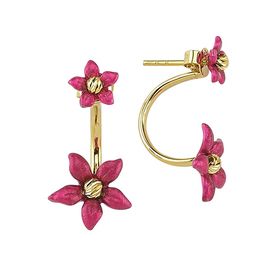 ROBERTO BRAVO DE ROSA PGXE0003