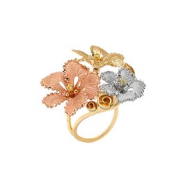 ROBERTO BRAVO SOUND OF NATURE SDFR0001