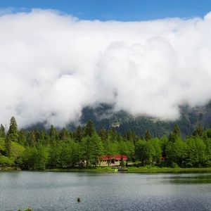 Artvin Şehirlerarası Nakliyat
