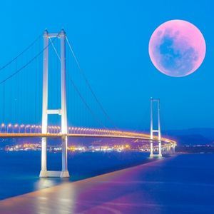 Kocaeli Şehirlerarası Nakliyat