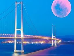 Kocaeli Şehirlerarası Nakliyat