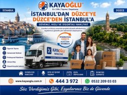 İstanbul Düzce Nakliyat | Güvenli ve Sigortalı Şehirlerarası Taşımacılık