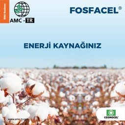 FOSFACEL