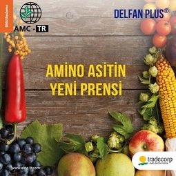 DELFAN PLUS