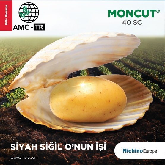 MONCUT 40 SC