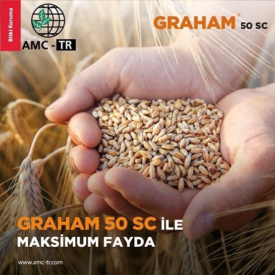 GRAHAM 50 SC