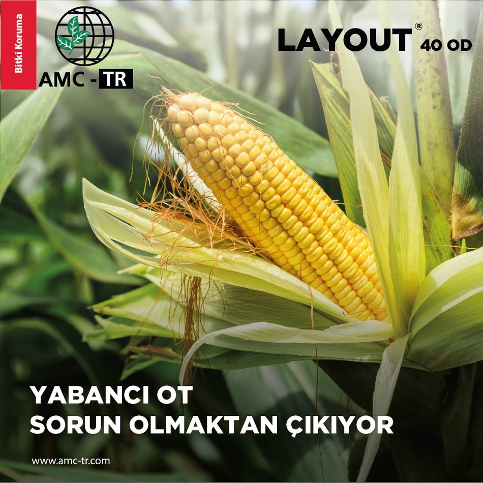 LAYOUT 40 OD