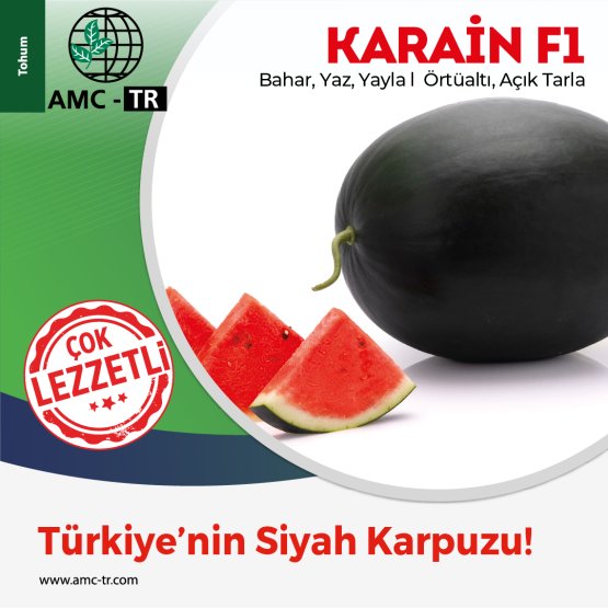 KARAİN