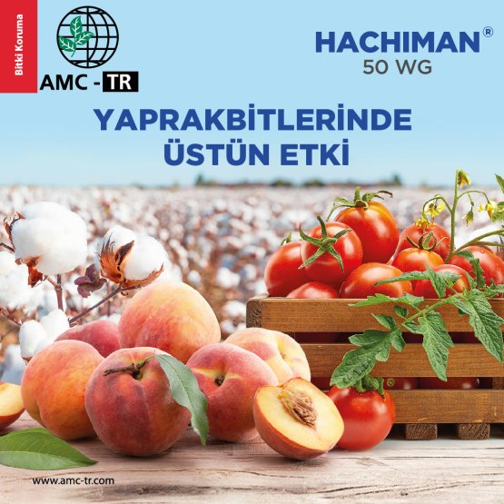 HACHIMAN 50 WG